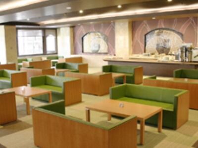 Ryokan Ooedo Onsen Monogatari Premium Kinugawa Kanko