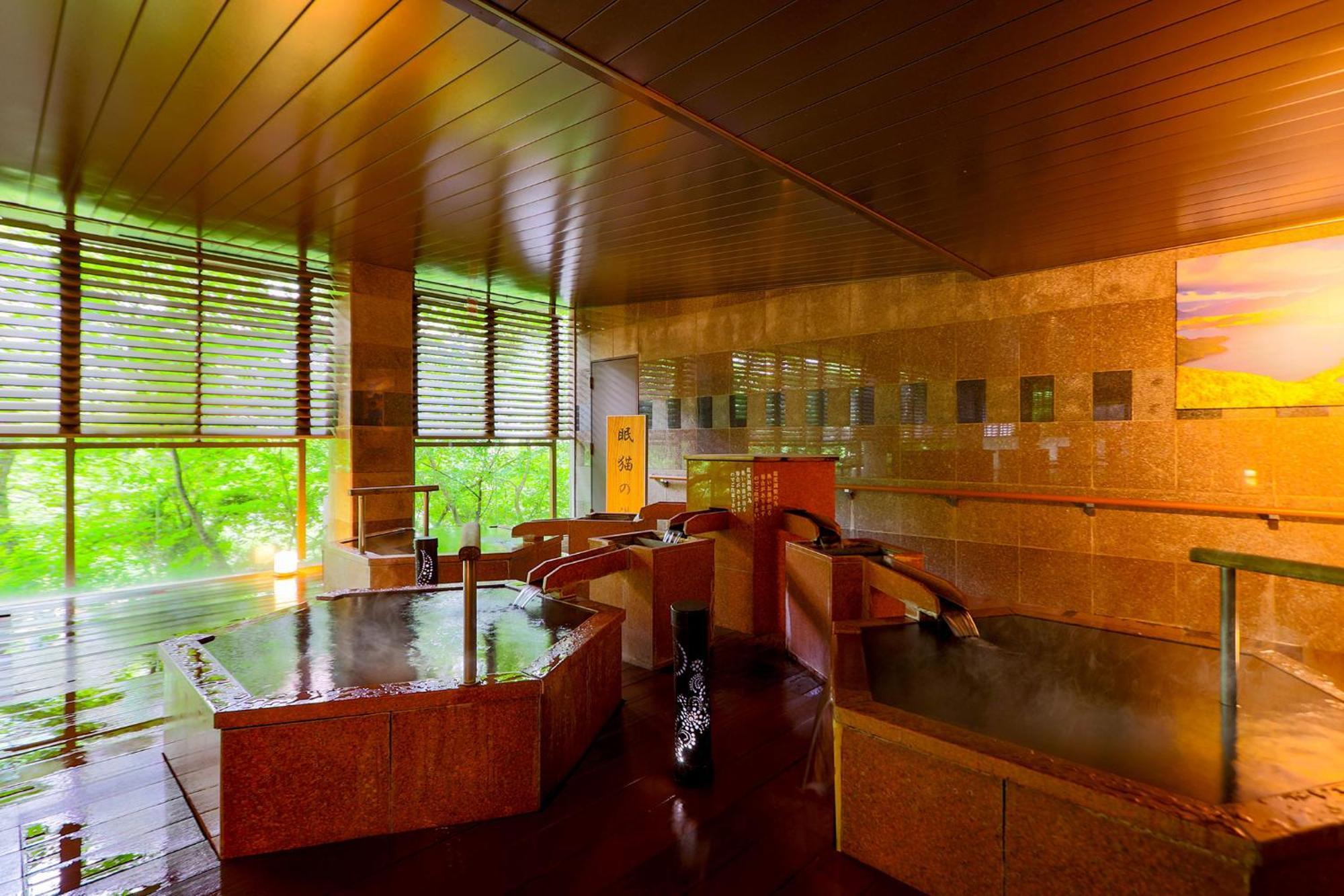 Ooedo Onsen Monogatari Premium Kinugawa Kanko Ryokan 3*